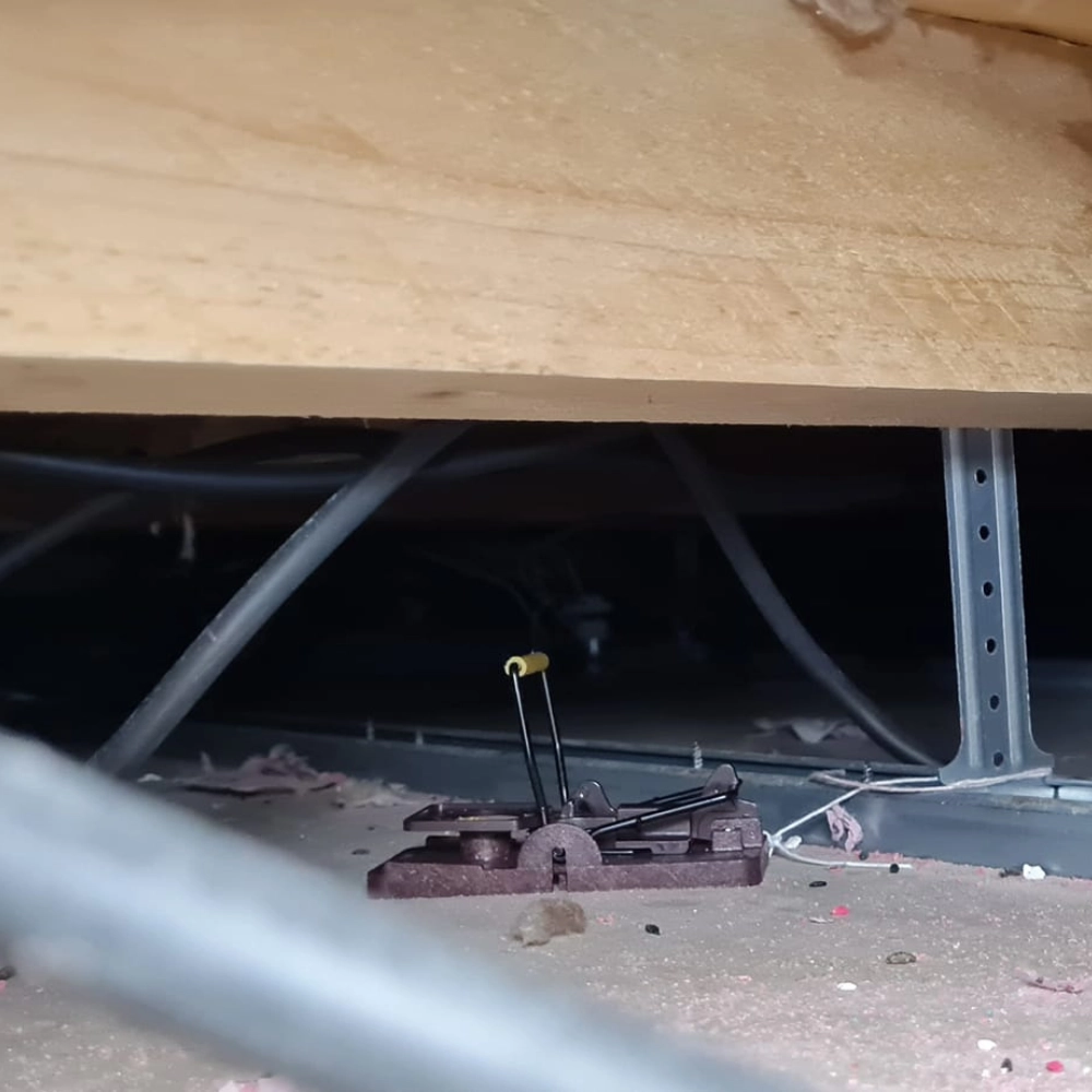 Dératisation dans une habitation à Lens - Abeilles Protect 62