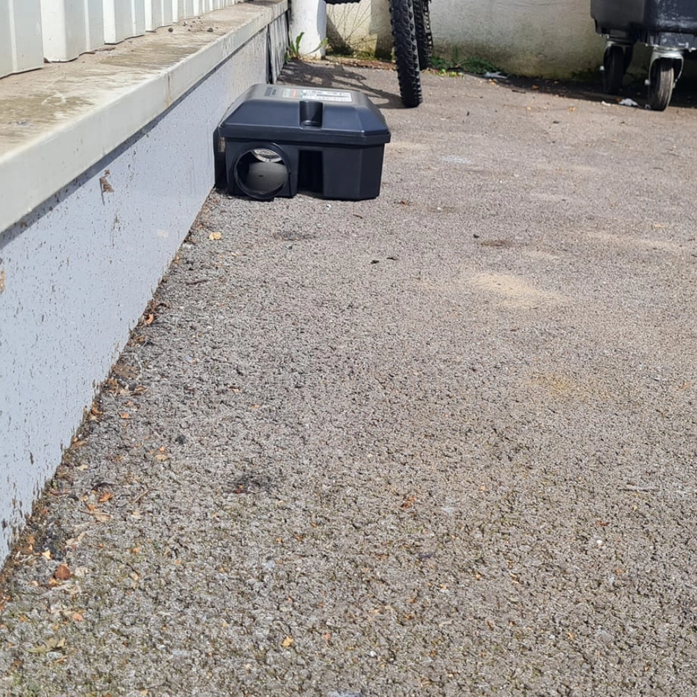 Dératisation d'un magasin à Lens - Abeilles Protect 62