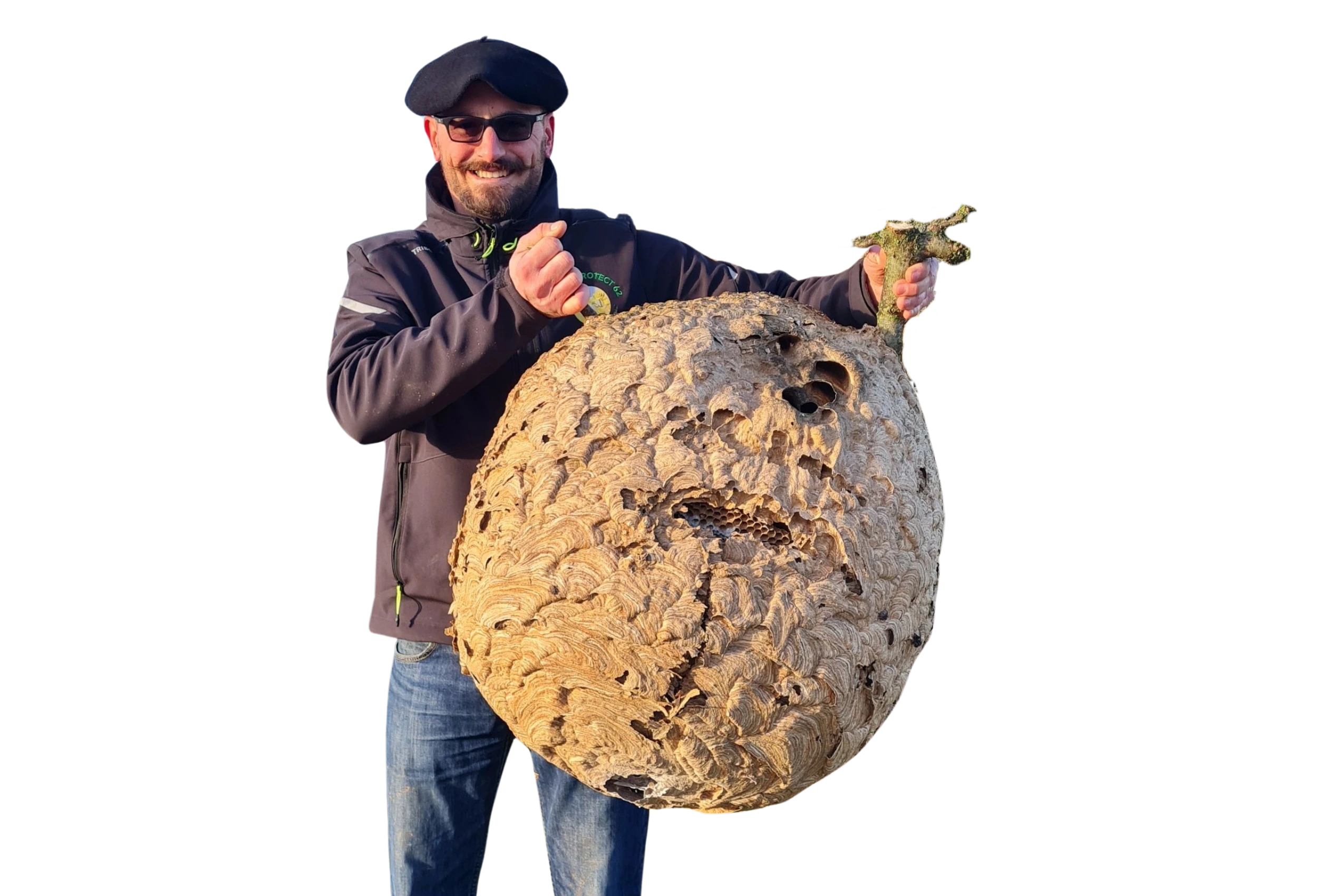 Intervention local dans le Nord et le Pas-de-Calais - Abeilles Protect 62 - Apiculteur et régulateur de nuisibles à Arras, Lens, Douai