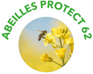 Logo Abeilles Protect 62 - Apiculteur et régulateur de nuisibles à Arras, Lens, Douai