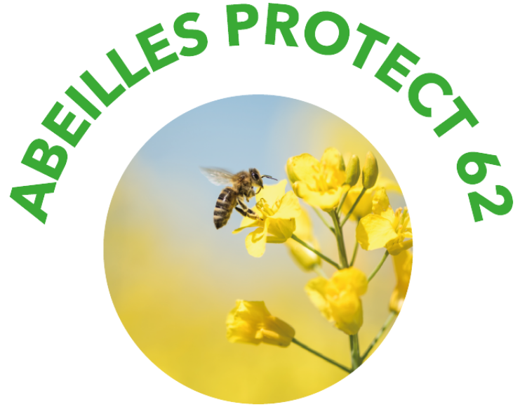 Abeilles Protect 62