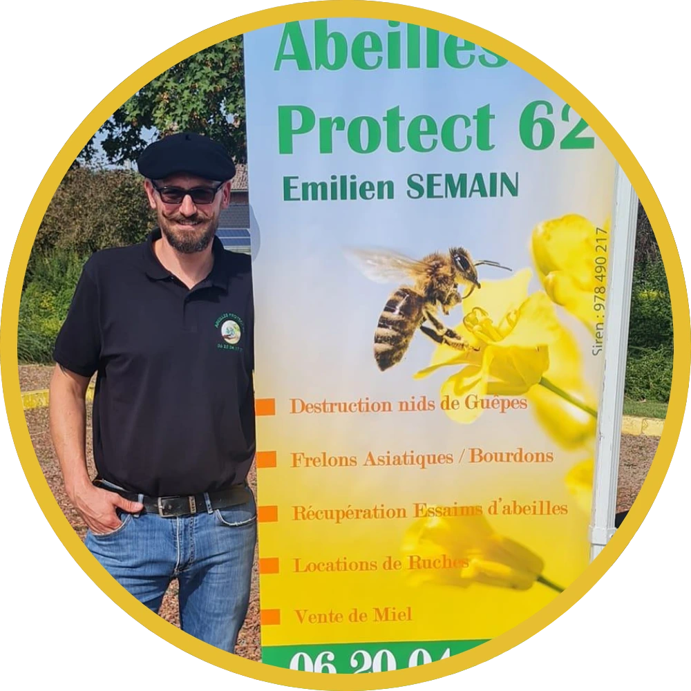 Membre engagé pour la sauvegarde de l'abeille noire - Abeilles Protect 62 - Apiculteur et régulateur de nuisibles à Arras, Lens, Douai