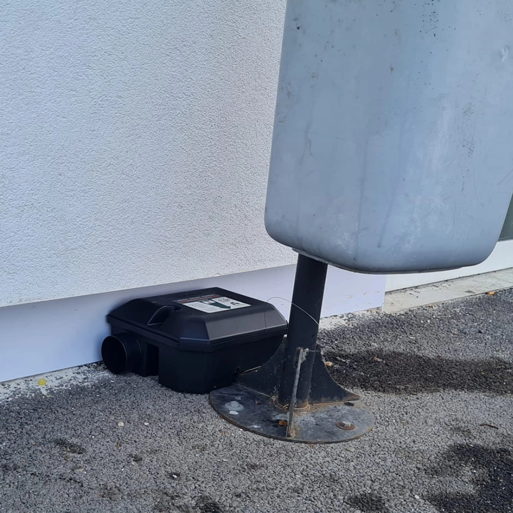 Piège à rat dans un magasin à Douai - Abeilles Protect 62