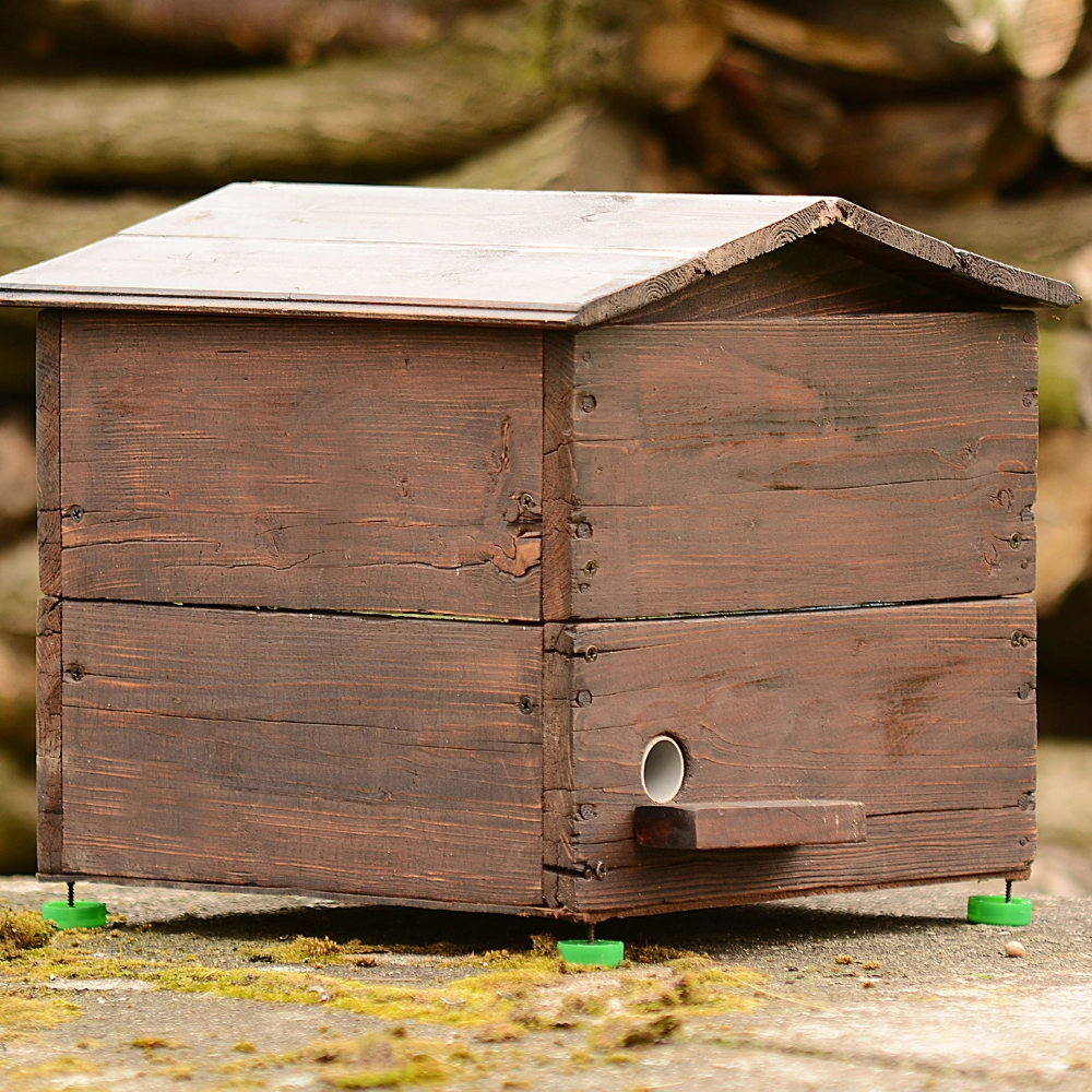 Récupération de nid de bourdons à Arras - Abeilles Protect 62