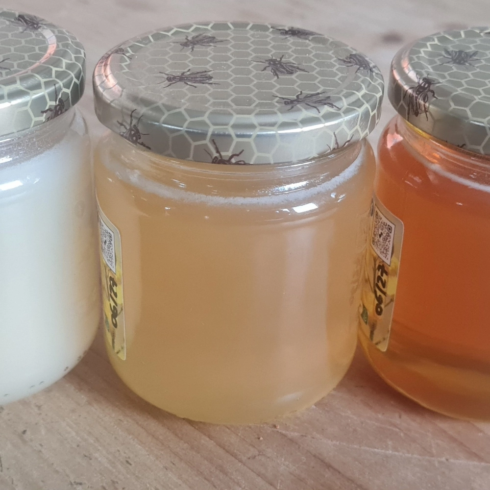 Vente de miel - apiculteur local à Arras - Abeilles Protect 62