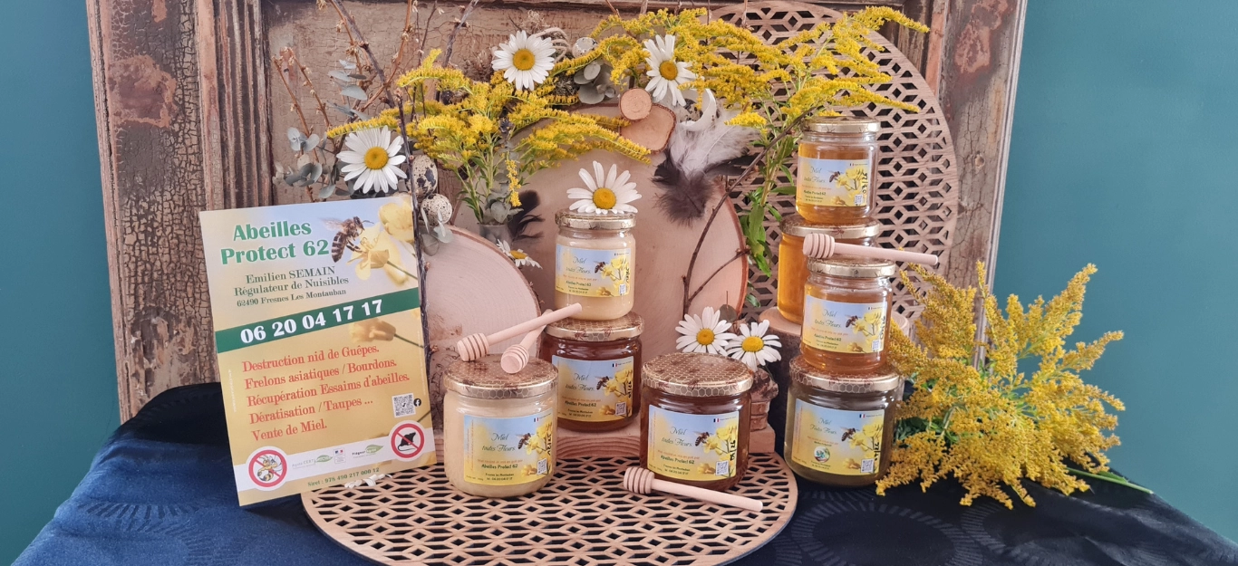 Vente de miel local à Arras, Lens, Douai - Abeilles Protect 62 - 2